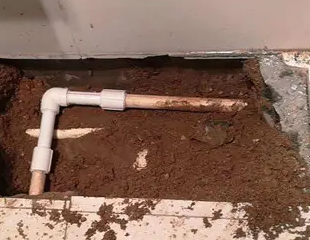 饶阳测漏水哪家好