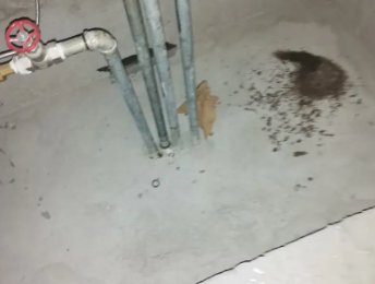 饶阳卫生间测漏水价格明细